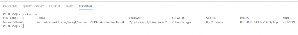 docker ps output: container sql2019 from mssql/server:2019-GA-ubuntu-16.04, up 2 hours, port 1433 mapped to 1433